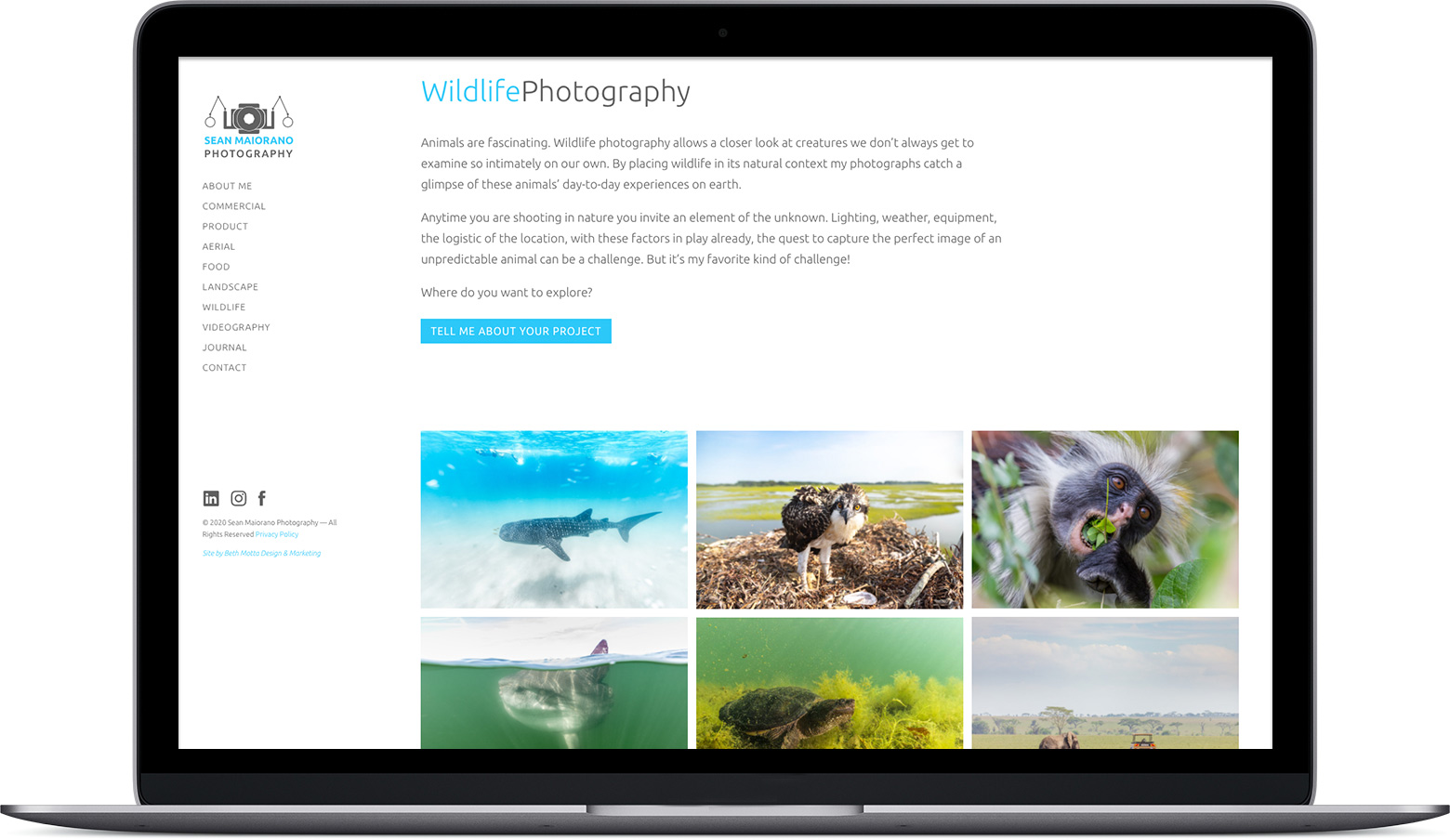 photography portfolio website design