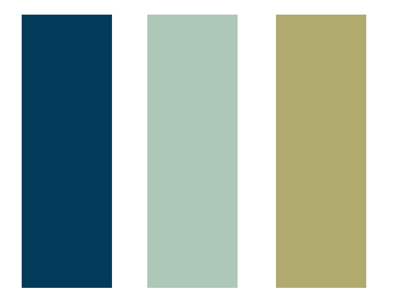 website complimentary color palette